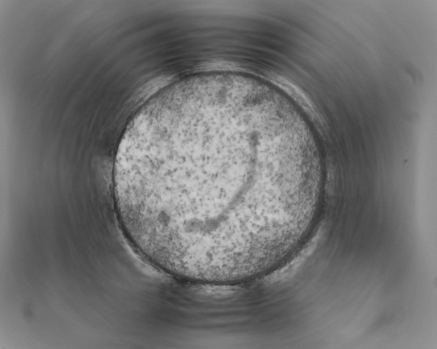 X0000111150849200907281131