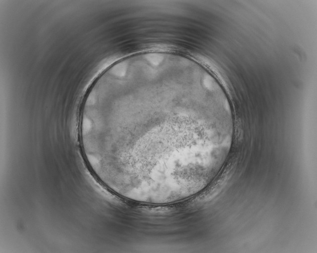 X0000111150851200907281131