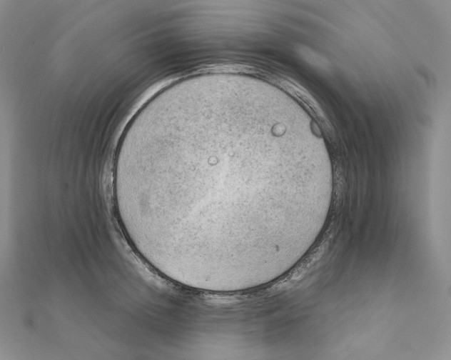 X0000111150852200907281131