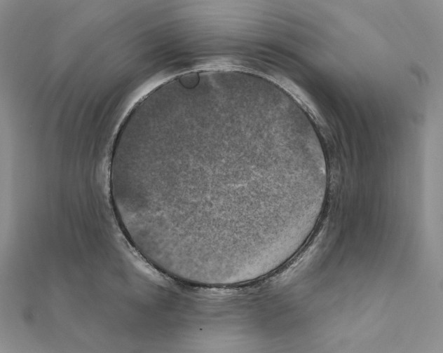 X0000111150854200907281131