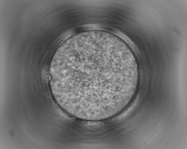 X0000111150857200907281131