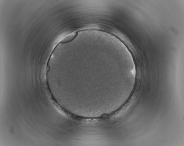 X0000111150858200907281131