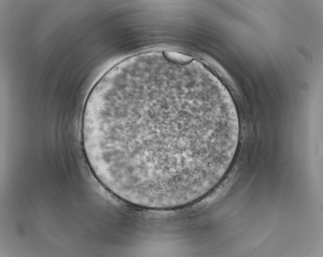 X0000111150860200907281131