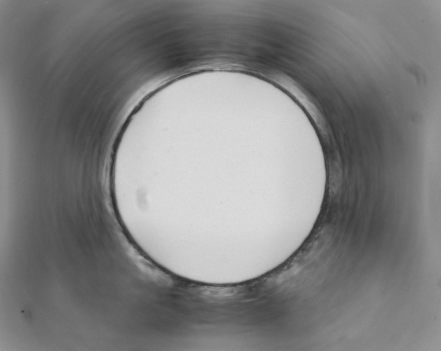 X0000111150861200907281131