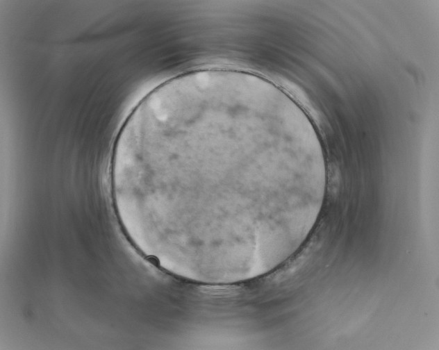 X0000111150863200907281131