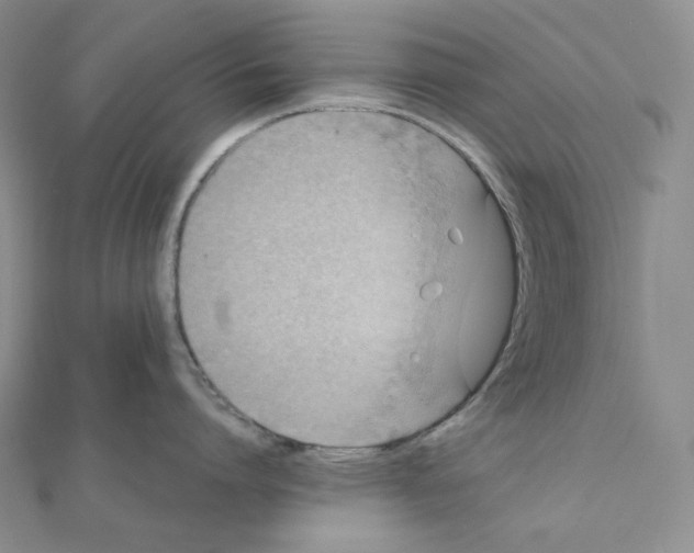 X0000111150864200907281131