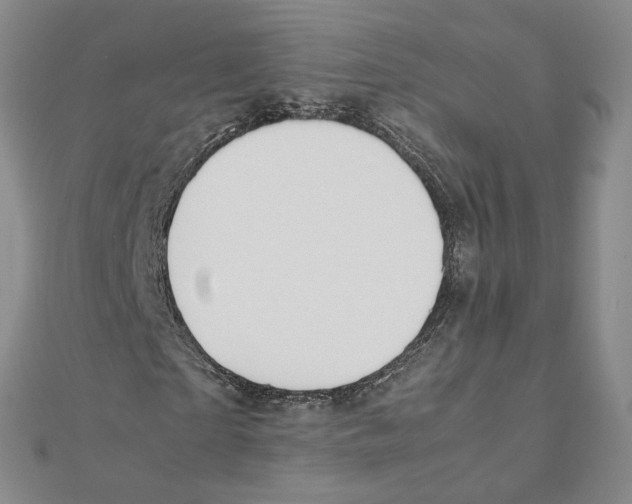 X0000111150865200907281130