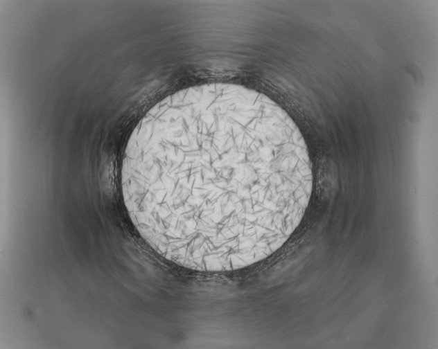 X0000111150866200907281130