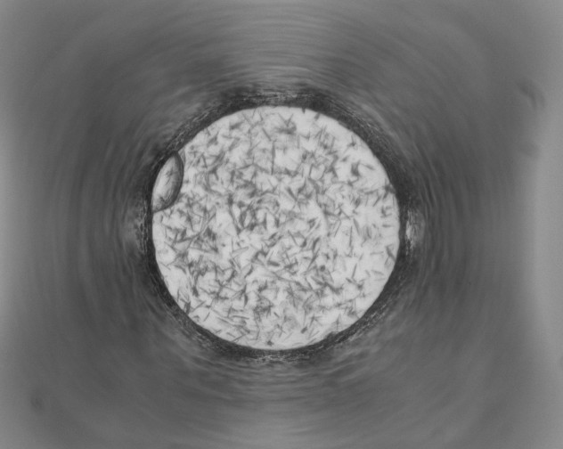 X0000111150867200907281130