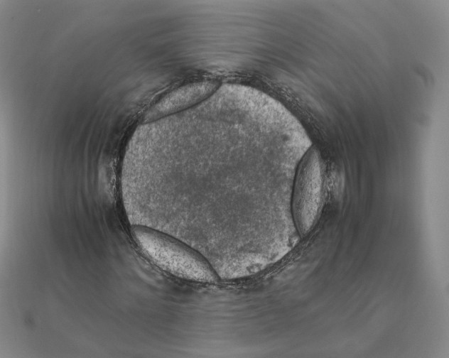 X0000111150868200907281130