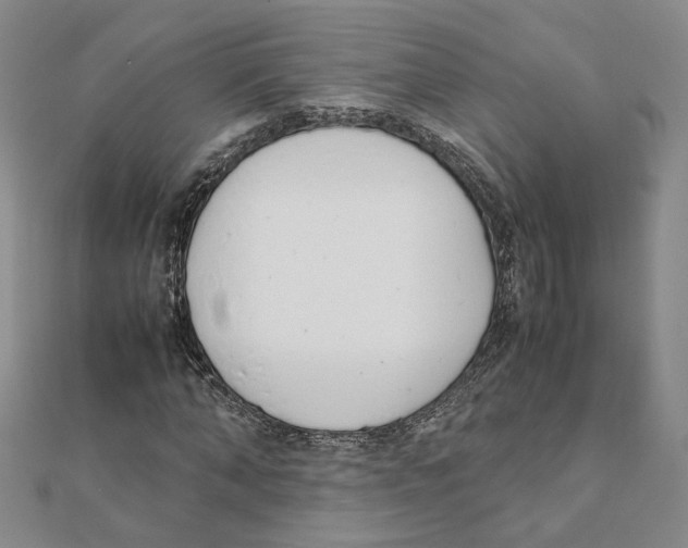 X0000111150870200907281130