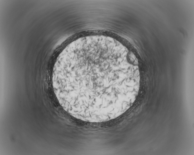 X0000111150871200907281130