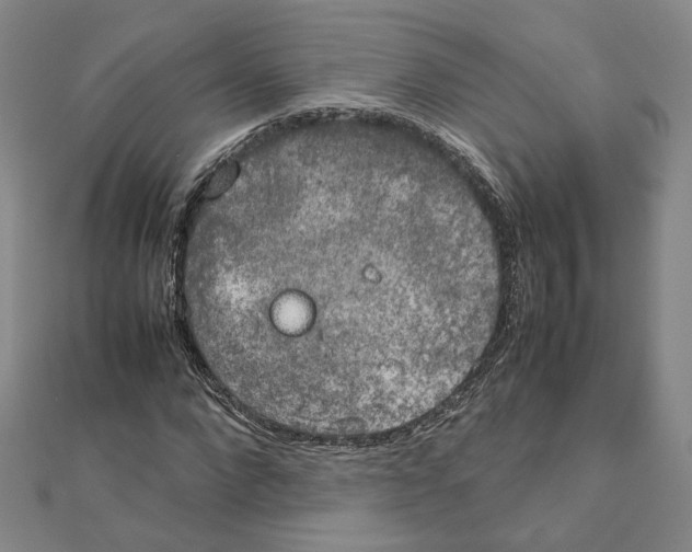 X0000111150872200907281130