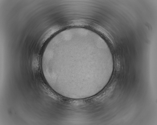 X0000111150874200907281130