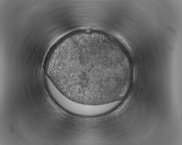 X0000111150876200907281130