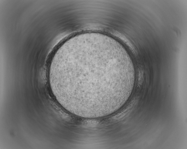 X0000111150878200907281130