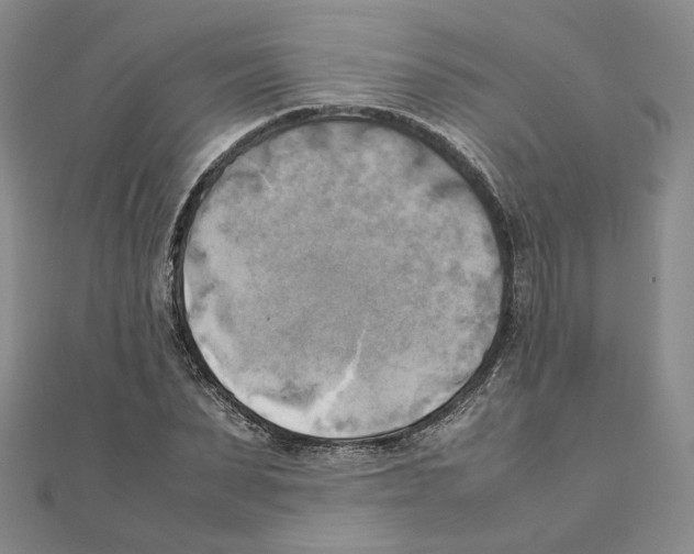 X0000111150879200907281130