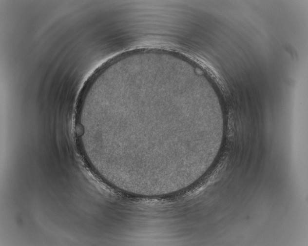 X0000111150880200907281130