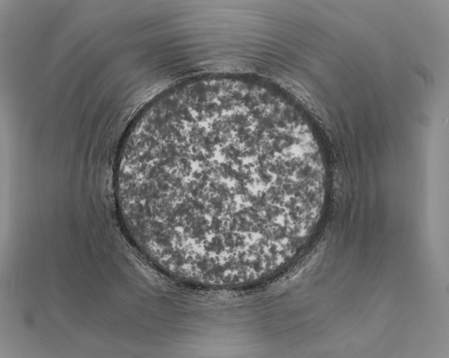 X0000111150881200907281130