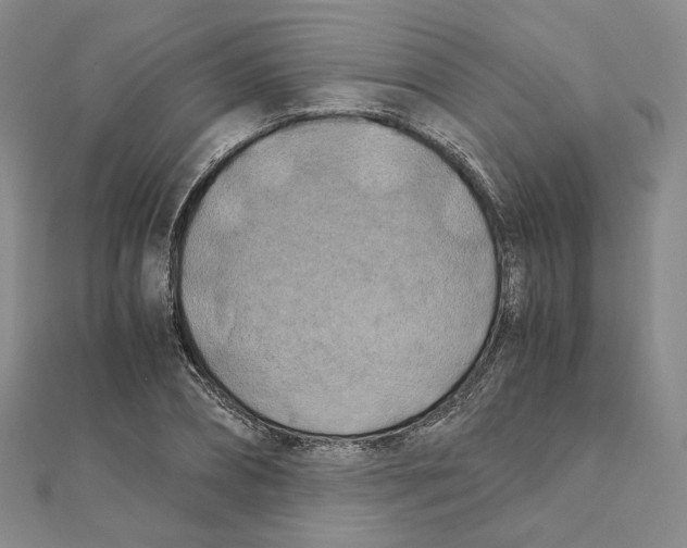 X0000111150882200907281130