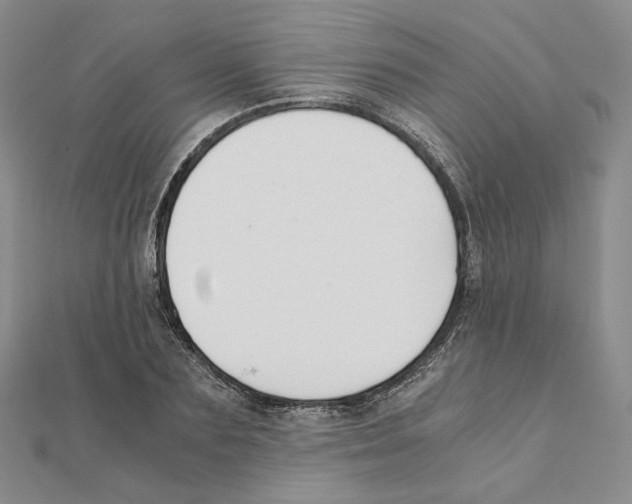 X0000111150883200907281130