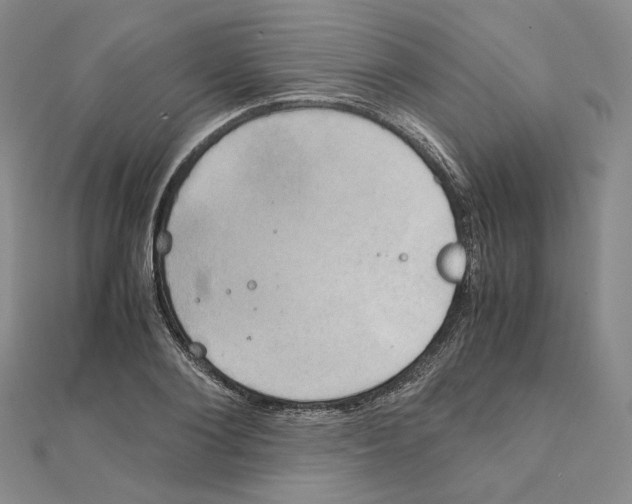 X0000111150884200907281130