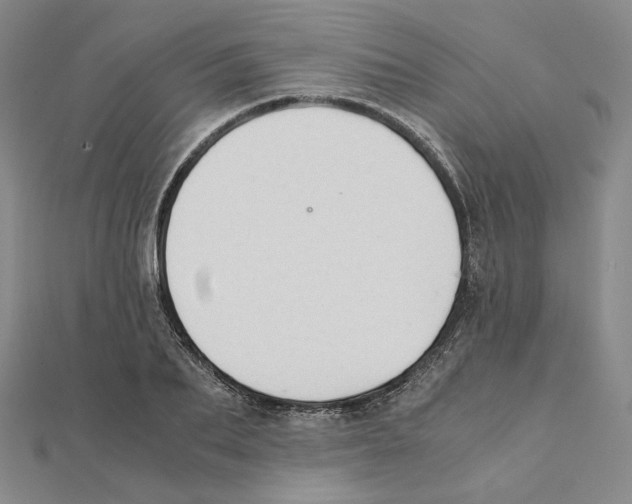 X0000111150887200907281130