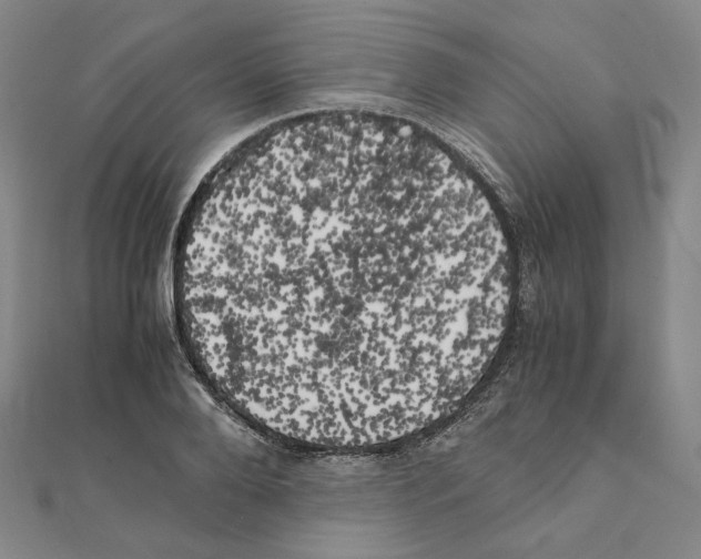 X0000111150888200907281130