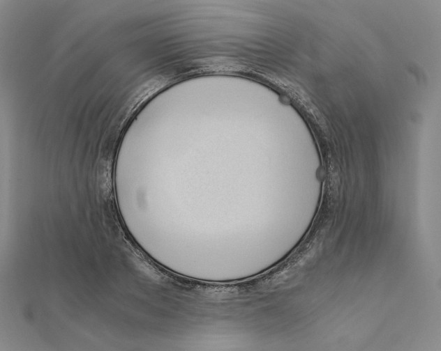 X0000111150889200907281130