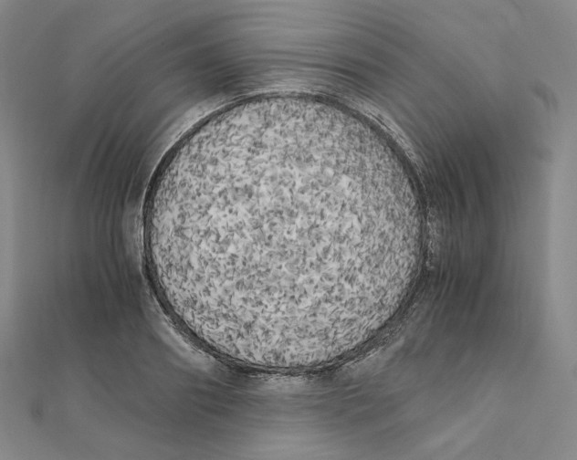 X0000111150890200907281130