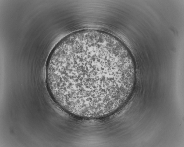 X0000111150891200907281130