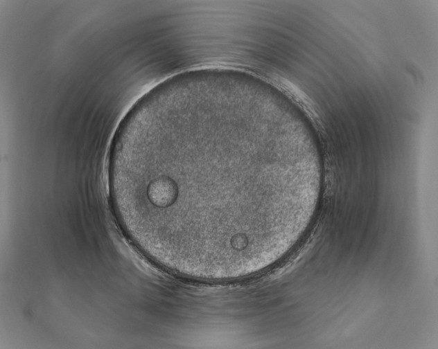 X0000111150892200907281130