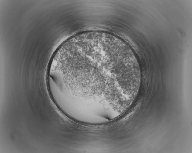 X0000111150893200907281130