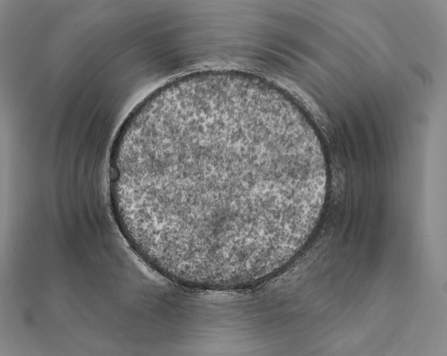 X0000111150894200907281130