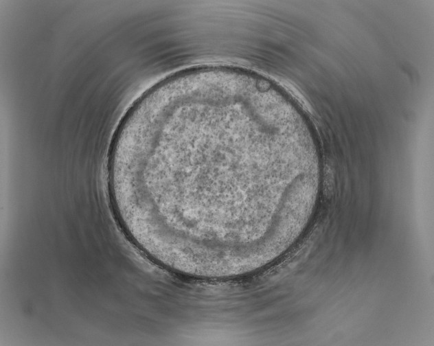 X0000111150895200907281130