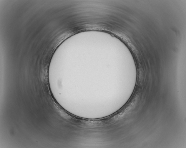 X0000111150897200907281130