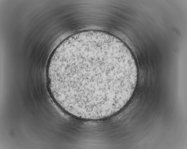 X0000111150898200907281130