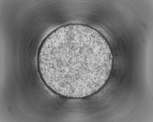 X0000111150902200907281130