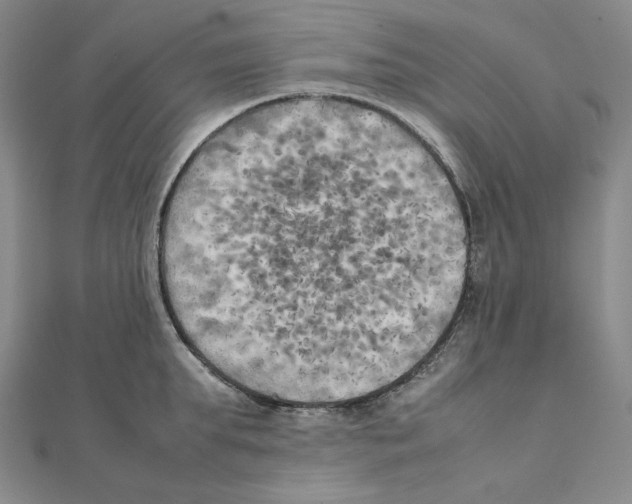 X0000111150903200907281130