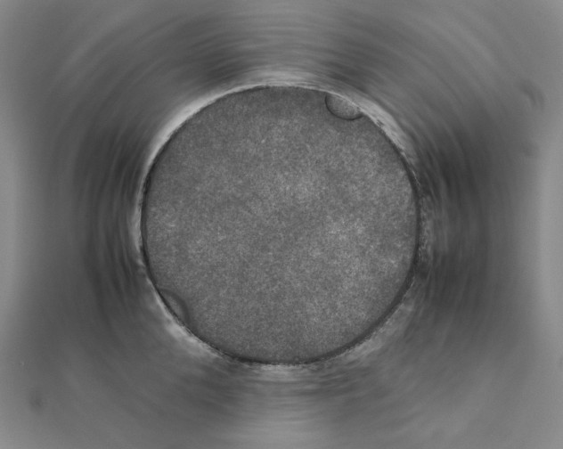 X0000111150904200907281130