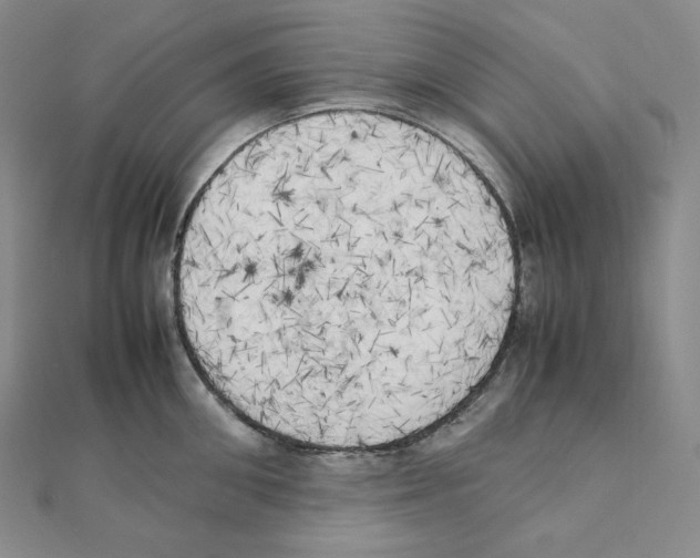 X0000111150906200907281130