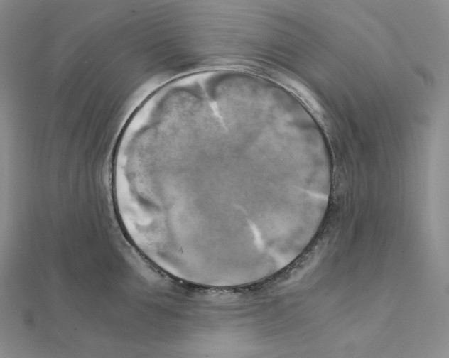 X0000111150907200907281130