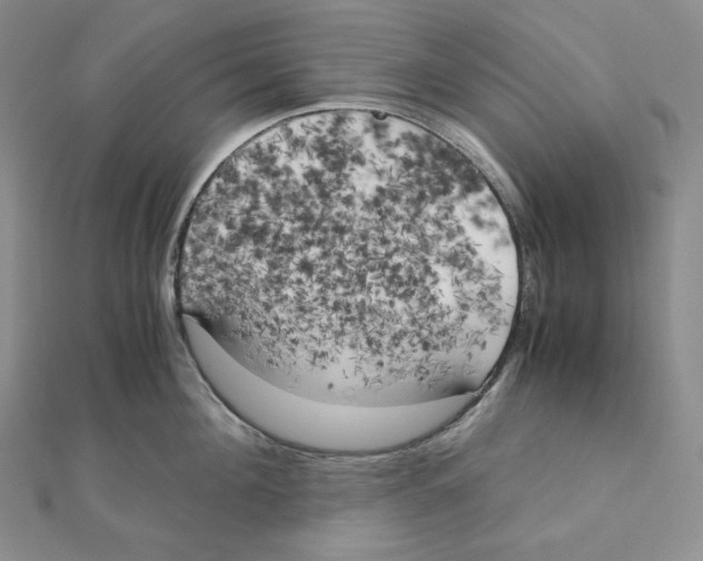 X0000111150908200907281130