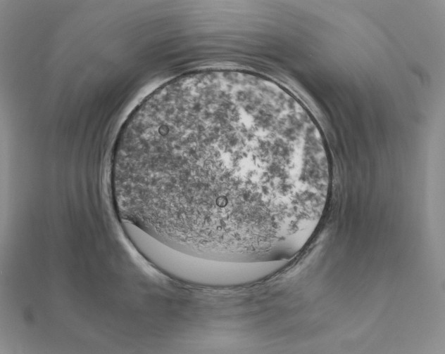 X0000111150909200907281130