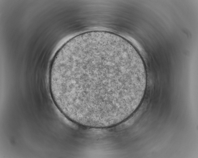 X0000111150910200907281130