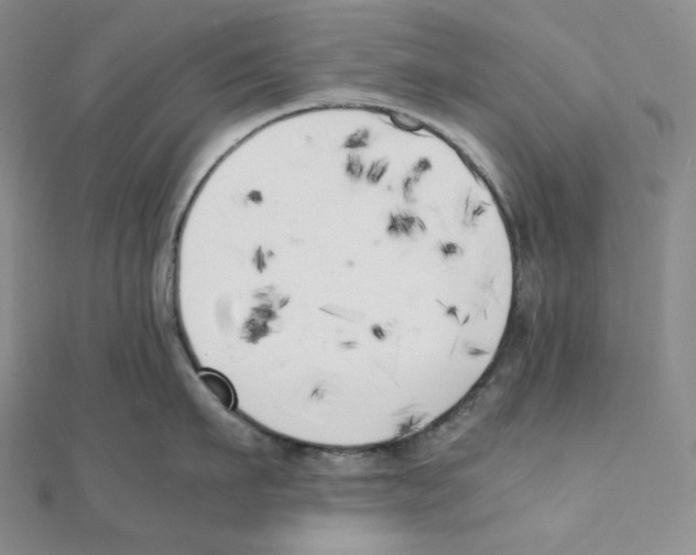 X0000111150911200907281130