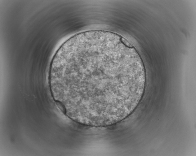 X0000111150912200907281130