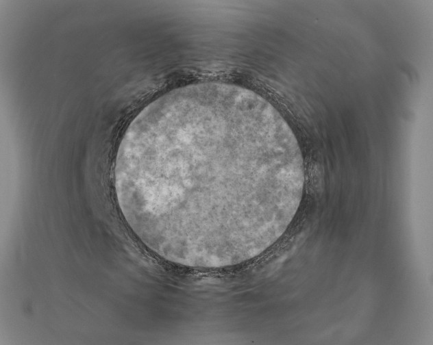 X0000111150913200907281129