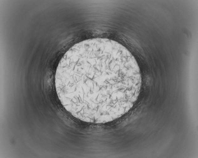 X0000111150914200907281129