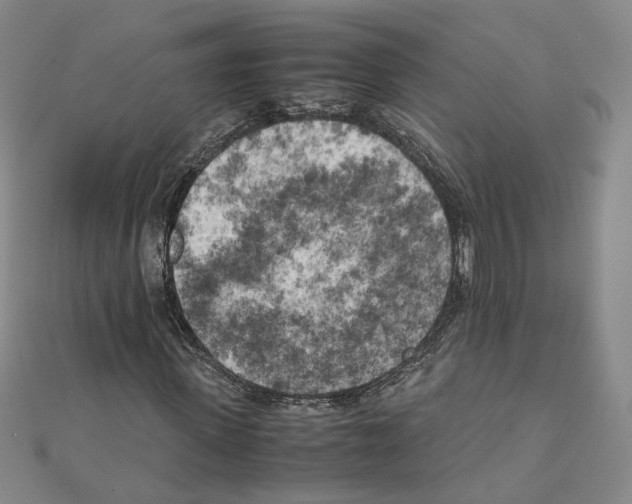 X0000111150915200907281129